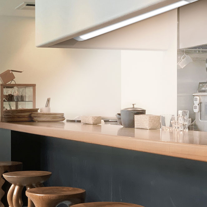 Regleta LED ECOVISION BATTEN 120 cm 36W Luz Fría Blanco Interlusa - imagen 3 | Interlusa