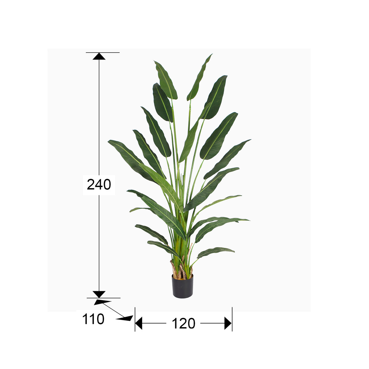 Plano con medidas de Palma del Viajero Artificial 240 cm con Maceta Verde Schuller