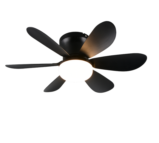 Ventilador de Techo LUND de Trio Lighting (Lund (NEGRO)) en color Negro Mate con seis aspas y luz central, vista frontal - Ref R67462132.

